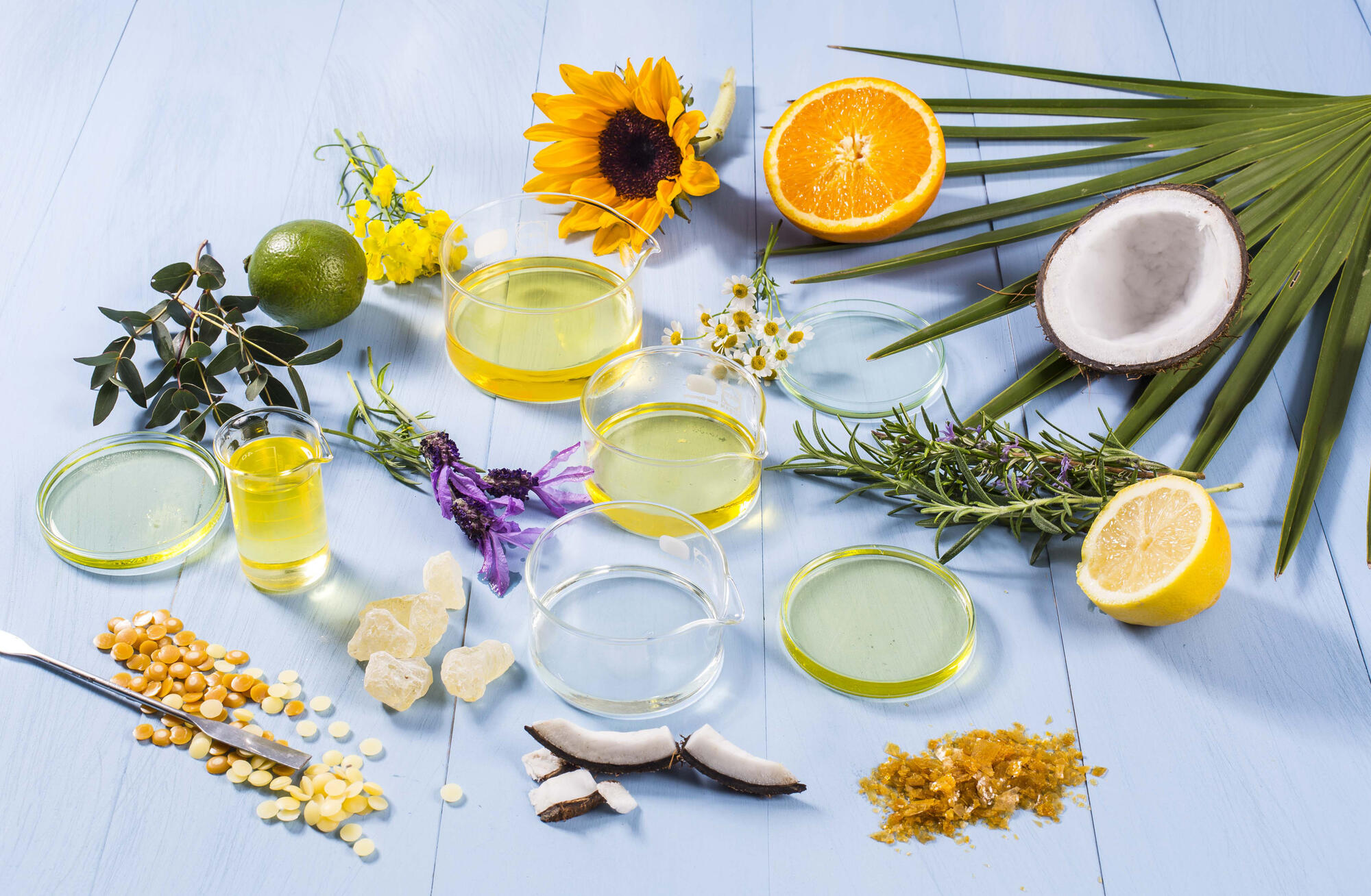 Rohstoffbild Reiniger Mit Blatt