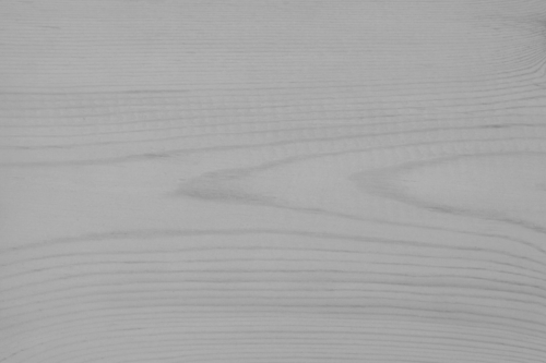 Trælasur nr. 560 - fossil