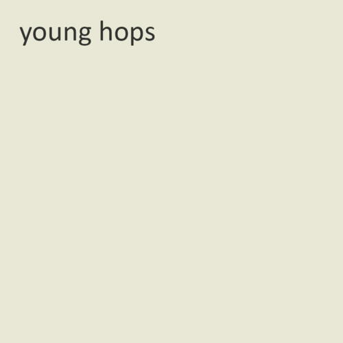 Premium Væg- & Loftmaling nr. 555 -  young hops