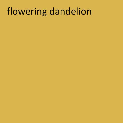 Glansmaling nr. 516 - flowering dandelion