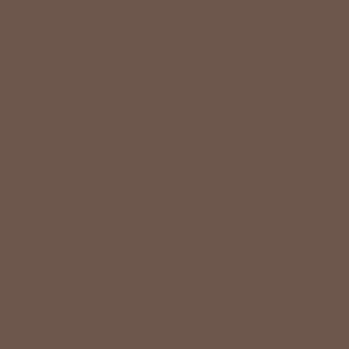 Professionel Lermaling nr. 535 - cacao brown