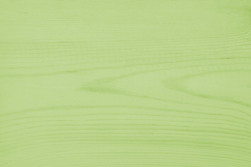 Trælasur nr. 560 - grasshopper