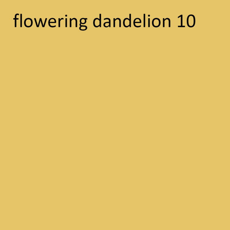 Professionel Lermaling nr. 535 - flowering dandelion 10
