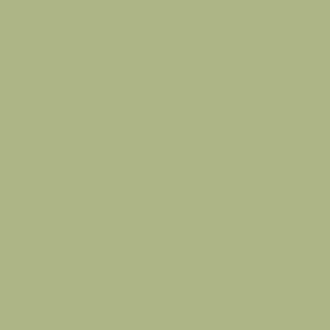 Professionel Lermaling nr. 535 - apple green 10